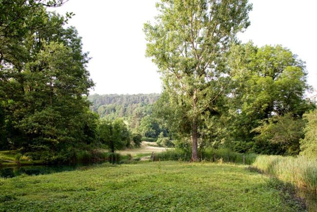 Gites La Forge De Sainte Marie Thonnance-les-Moulins Dış mekan fotoğraf