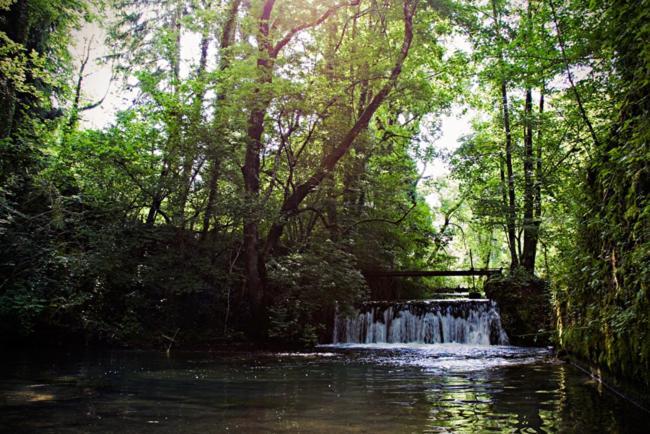 Gites La Forge De Sainte Marie Thonnance-les-Moulins Dış mekan fotoğraf